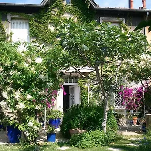 Les Petits Poissons France